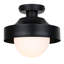Plafonnier extérieur 1 lumière BAYLOR, finition noire
