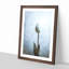 Solitary White Tulip Painting - Framed Print-56922536-56922537
