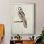 Toile encadrée de qualité supérieure Canada Owl - prête à être accrochée-1680736776-1680736779