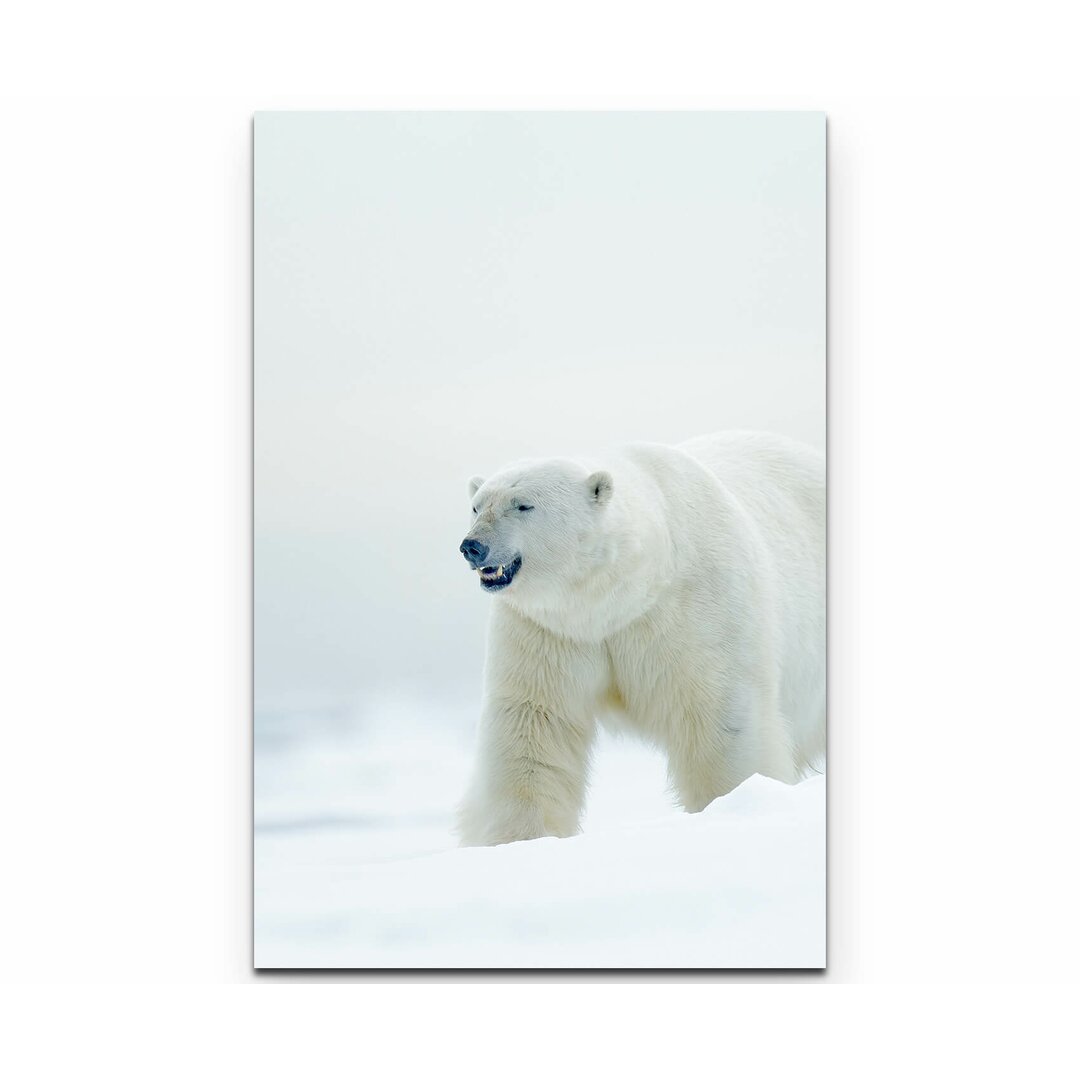 Leinwandbild Eisbär im Schnee