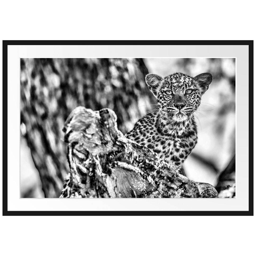 Gerahmtes Poster Leopardjunges auf Baum