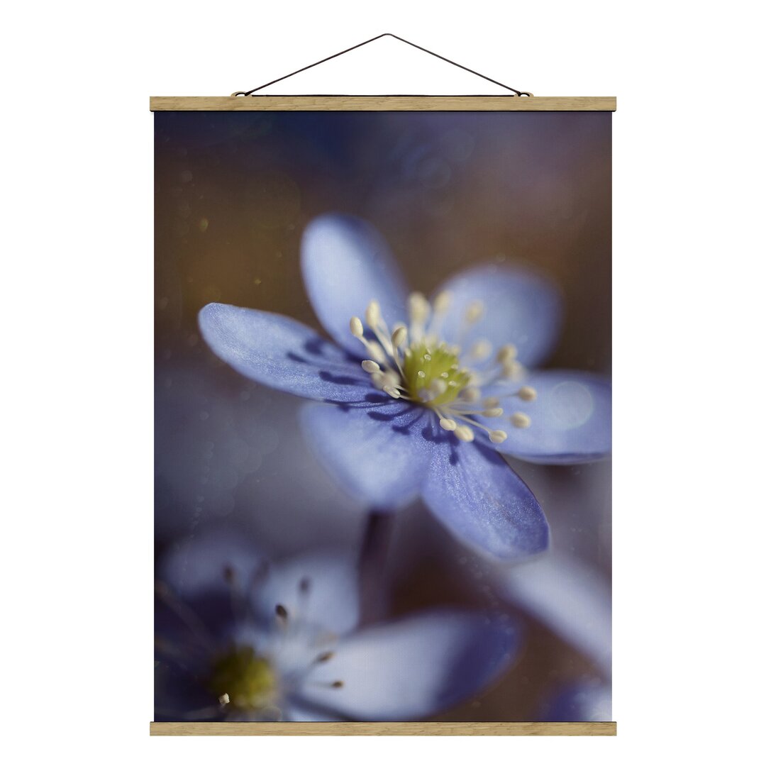 Fotodruck Anemones in Blue