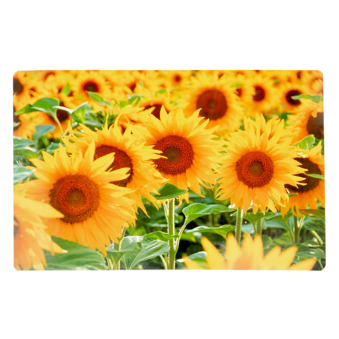 Ayita Floral Rectangle Placemat (Set of 12) Gracie Oaks