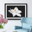 Blooming White Magnolia Painting - Single Picture Frame Print on MDF-56632593-56632590