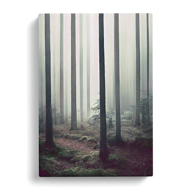 A Quiet Forest - Wall Art, Wrapped Canvas, 50cm H x 35cm W x 3cm D, No Matte