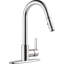 Peerless Pull Down Kitchen Faucet