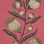 Schumacher x Marian Mcevoy Thistle Vine Wallpaper-207782866
