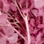 Natural Botanicals 15" Hydrangea with Multiple Branch Segments, Preserved-616070911