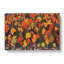 Autumn Foliage by Tom Thomson - Wrapped Canvas Painting-61875740