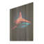 Photo d'un requin rouge-1869216837