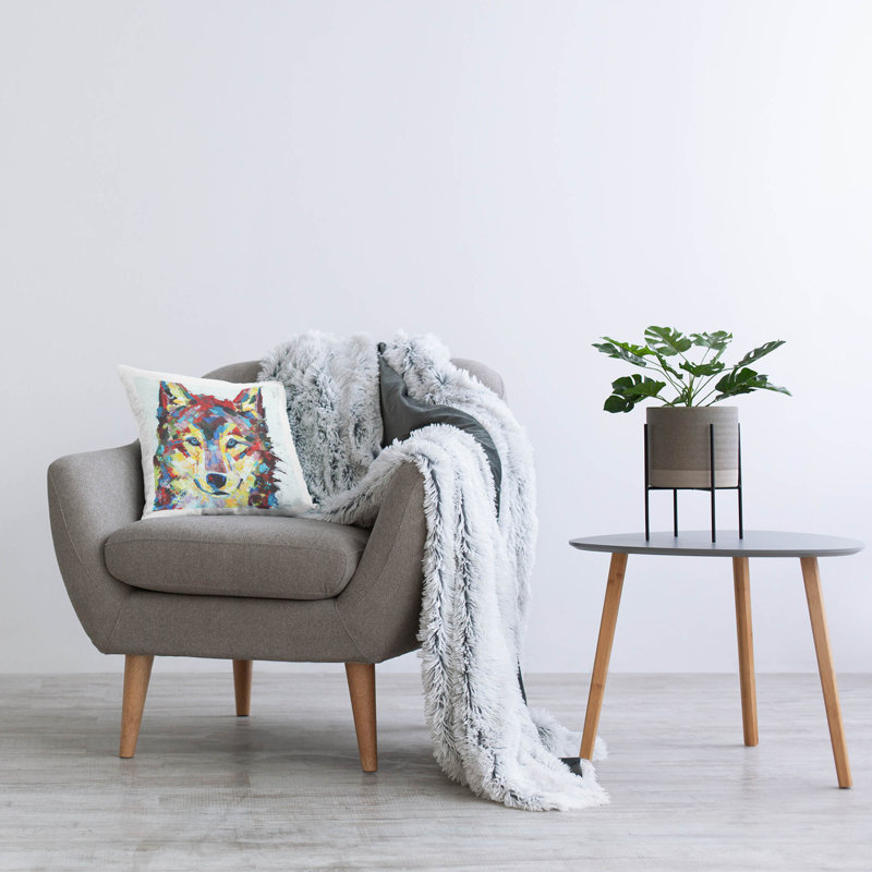 Throw Pillow