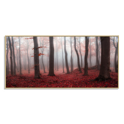 " Foggy Morning Red Forest III "