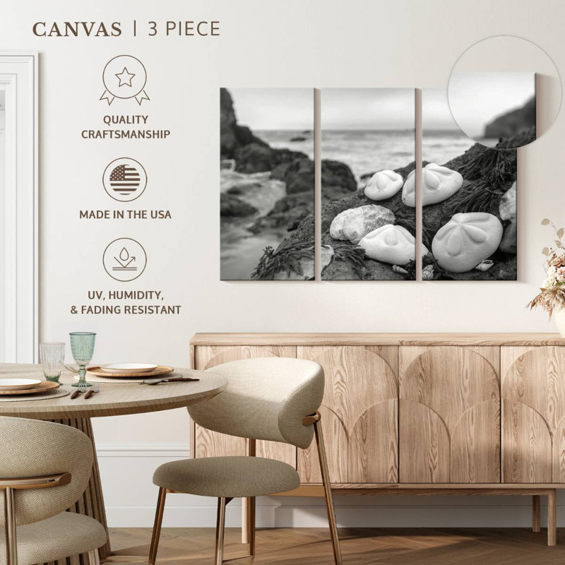 Brampt White Crescent Beach Shells IV, 32" H x 50" W