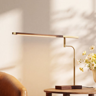 Ryder USB Desk Lamp