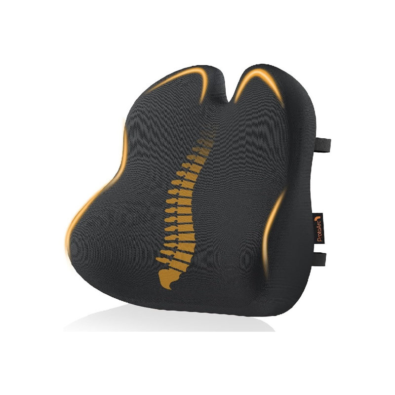 ARLINENS Back Support