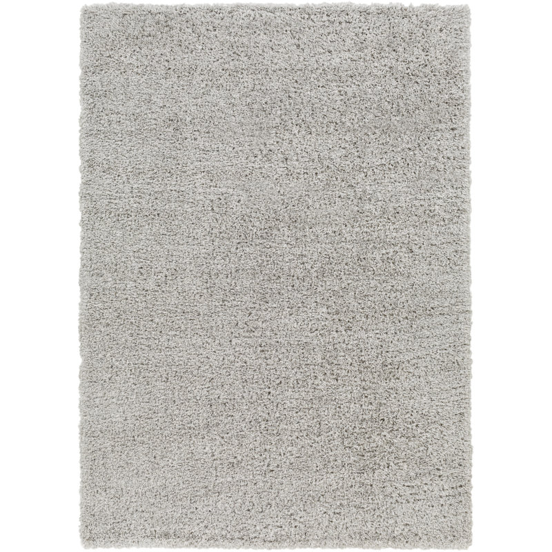 Ashleigh-Marie Solid Color Machine Woven Polypropylene Area Rug in Light Gray, Rectangle 6'7" x 9'