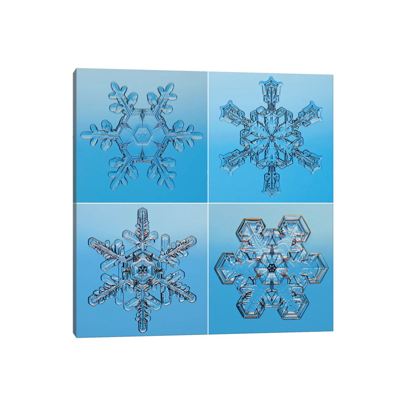 Snowflakes Seen Through Microscope by Steve Gettle - Wrapped Canvas Print, 30.48 cm H x 30.48 cm W