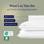 Ensemble de literie pour lit double Satin Sheets