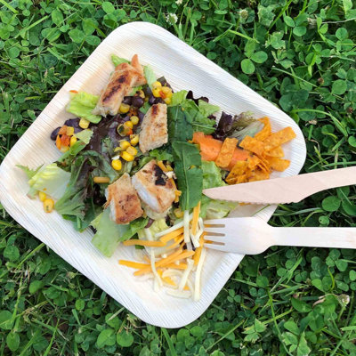 Disposable 8" Dinner Plates - Compostable