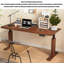 Solid Wood Electric Height Adjustable Standing Desk-231171553