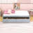 Casstown Twin Daybed with Two Drawers-1676685316