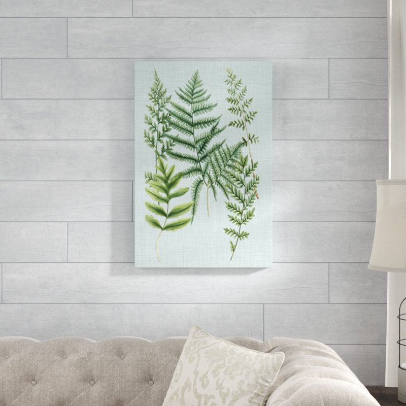 'Spa Ferns I' by Weinmann - Wrapped Canvas Graphic Art Print, 76cm H x 51cm W, Wrapped Canvas