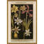 Botanicals Giclee Print by Soicher Marin Archives