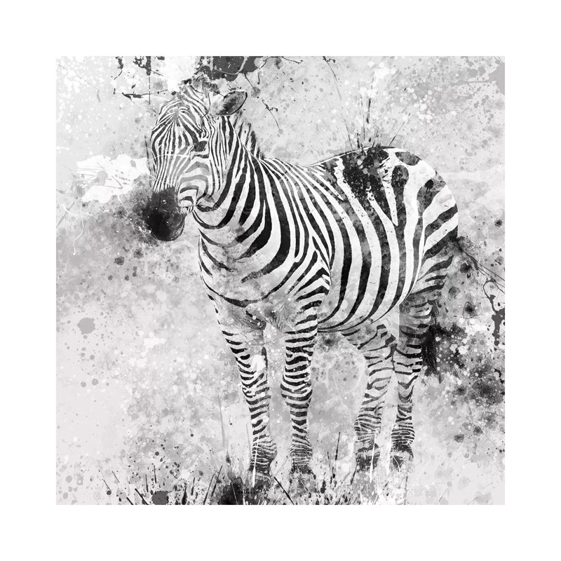 Zebra I by Carol Robinson - Print on Canvas, Wrapped Canvas, 45.72 cm H x 45.72 cm W x 1.91 cm D