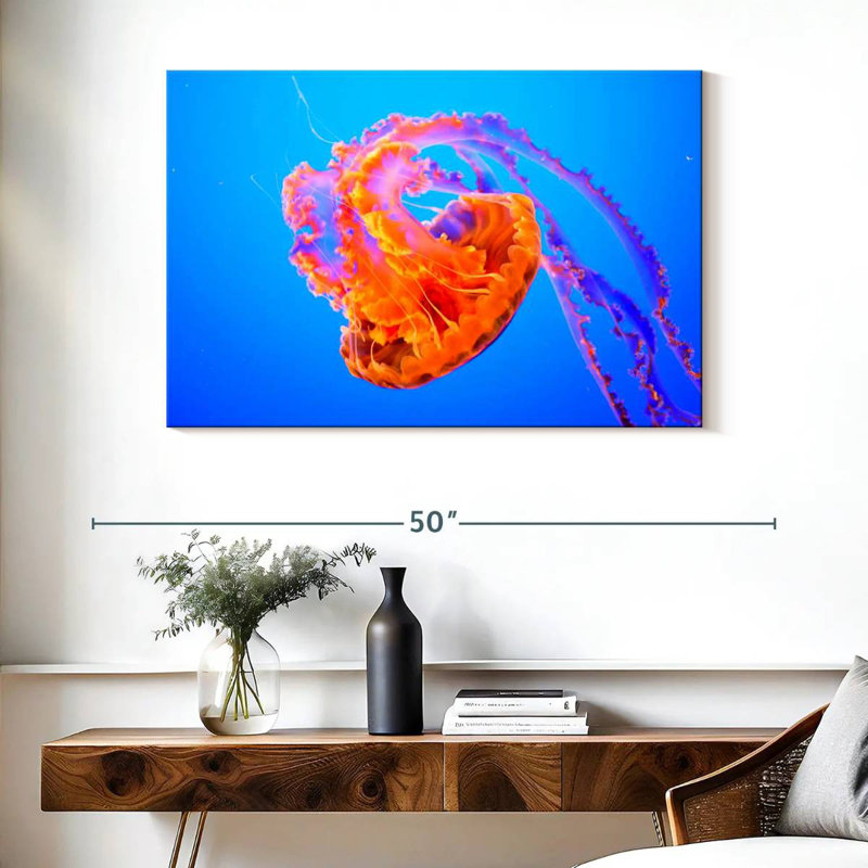 Somersault Brampt Jellyfish, H 26 po x l 39 po