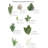 Avoca 17'' Pampas Grass Plant