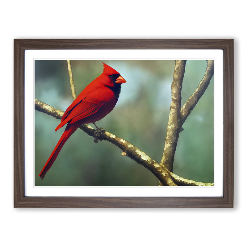 Cardinal Bird Vol.11 - Single Picture Frame Print, 46cm H x 64cm W x 2cm D, Walnut Framed
