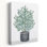 Patience en pot II - art de verdure en pot