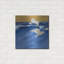 Highland Dunes «Seagulls with Gold Sky 3» par Shirley Novak, art mural en métal-1641883971