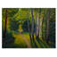 «Path To The Birch Tree Forest II», reproduction sur toile flottante-2008851863-2008851862