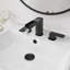 Widespread 2-handle Bathroom Faucet with Drain Assembly-95166375