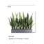 27" Potted Snake Plant - Natural-2116599304