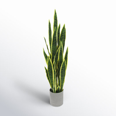 Artificial Sansevieria Snake Plant in Pot