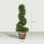 90cm Plant-181279294