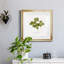 «Pressed Clover I», reproduction encadrée de qualité supérieure - prête à être accrochée-960426773-960426218