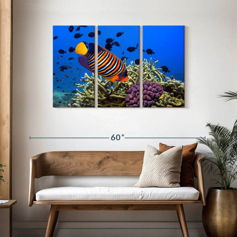 Brampt Royal Angelfish, 28" H x 45" W