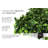 2'' Faux Boxwood Hedge