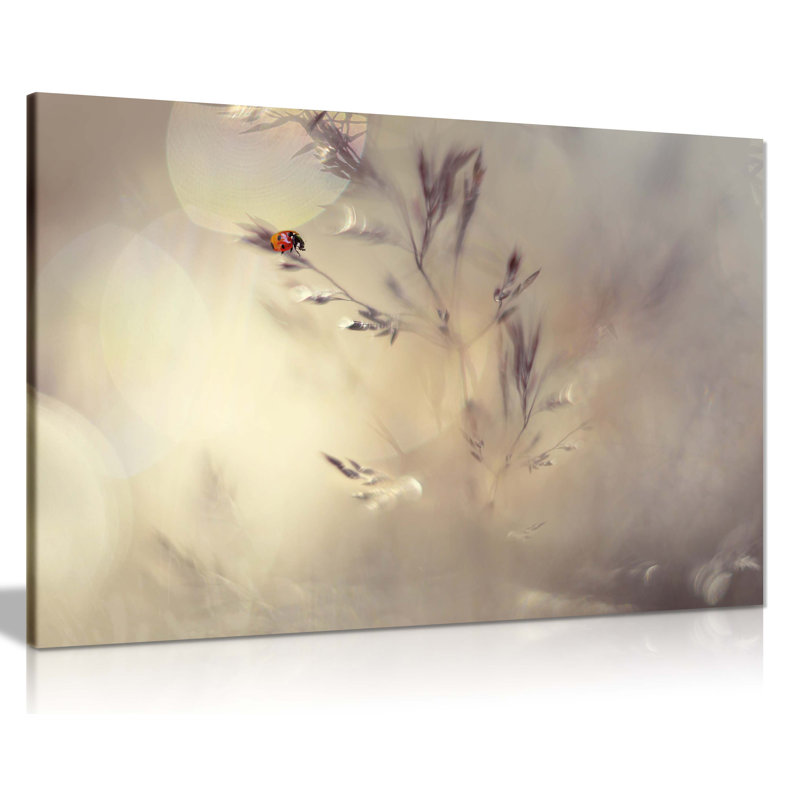 Lady Bug On A Flower - Wrapped Canvas Print, 31cm H x 46cm W
