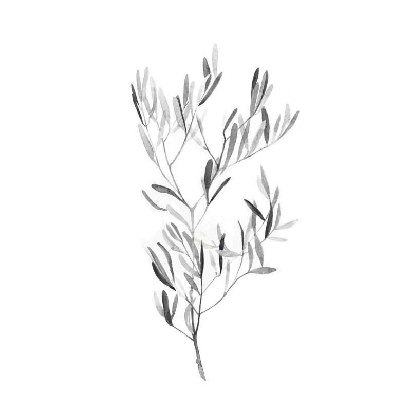 Paynes Gray Botanicals IV, H 18 po x l 12 po