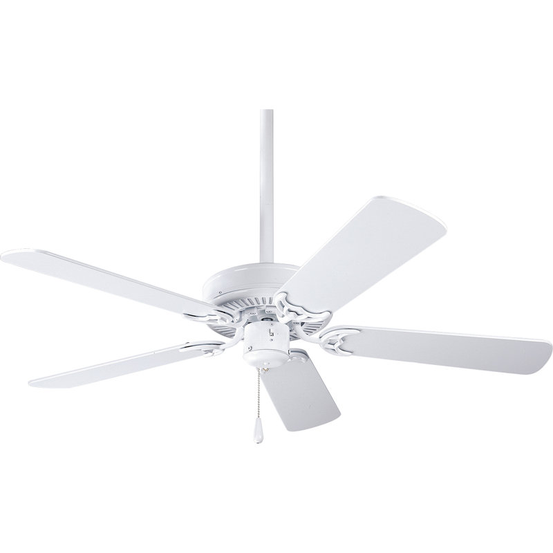 Air Pro 42'' Ceiling Fan, White with White / Washed Oak Blades