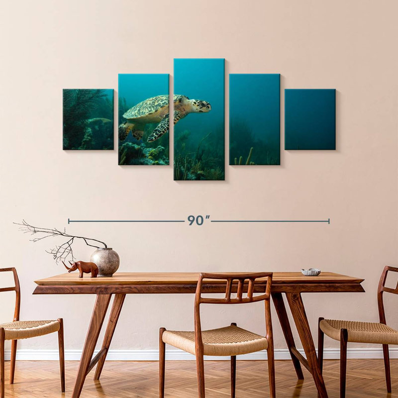 Tortue de mer des Caraïbes, H 42 po x l 92 po