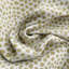 Fibi Goldenrod Rr