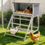 Chicken Cage