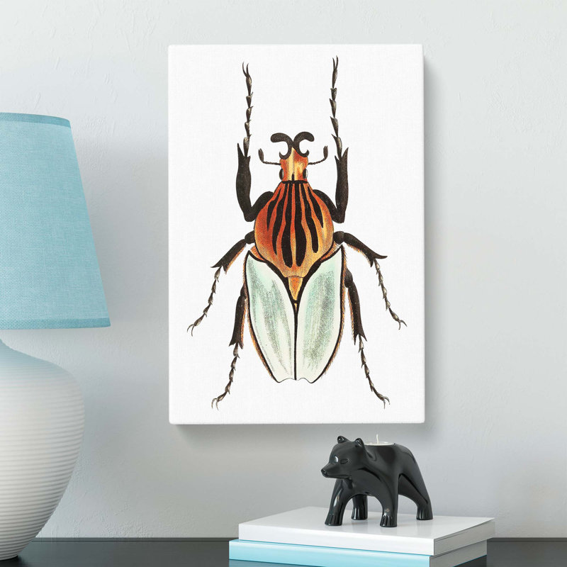 Cacique Beetle by George Shaw - Wrapped Canvas Painting, 50cm H x 35cm W x 3cm D