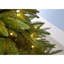 Royal 7.97' H Lighted Artificial Fir Christmas Tree