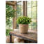 Faux Greenery Arrangement in Textured Jute Pot